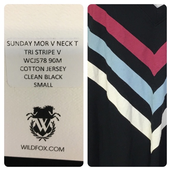 NWT!  Wildfox tri stripe v neck tee - Picture 3 of 4